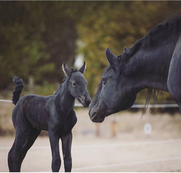 Marleen Saarloos Photography